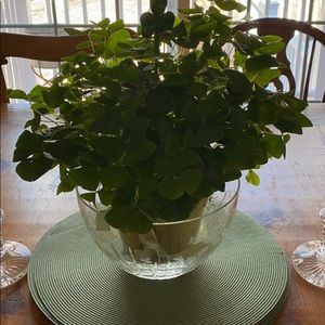 Meet your Posher, Joan